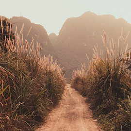 album-cover-1